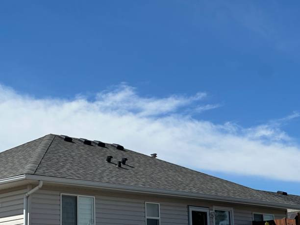 Best Asphalt Shingles Roofing  in Kinnelon, NJ